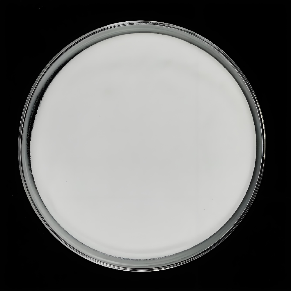 近期海化食品级纯碱供应紧张因素